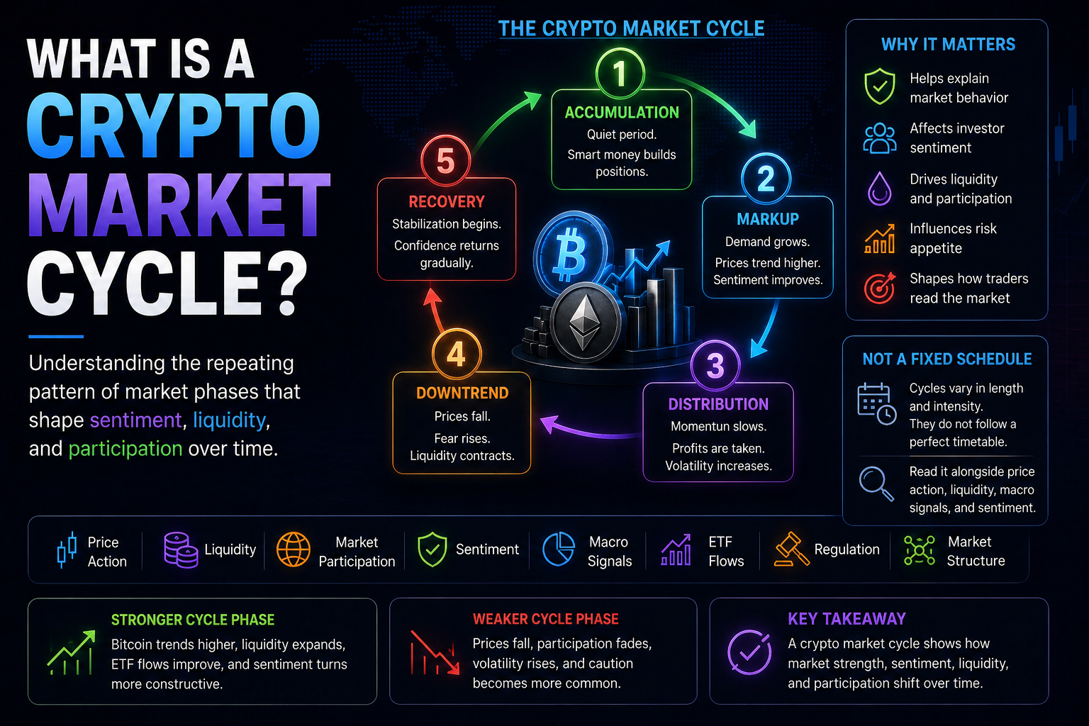 What Is a Crypto Market Cycle?