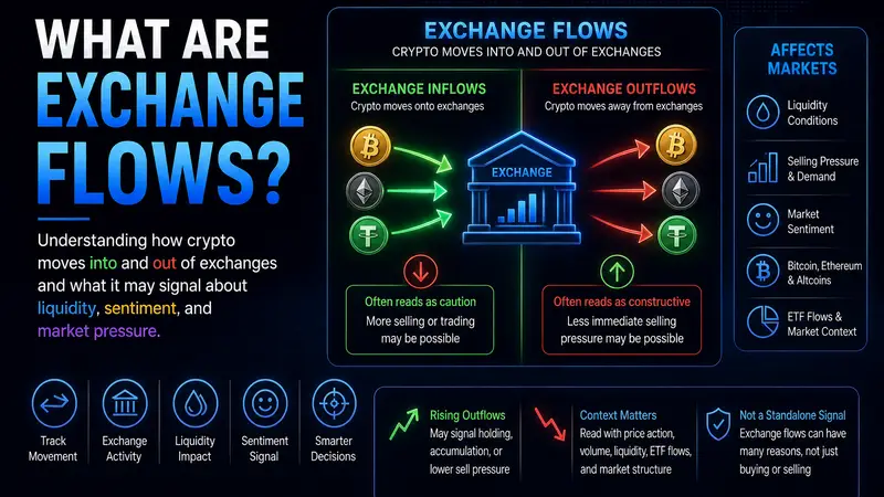 What Are Exchange Flows?
