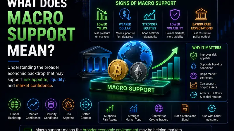 What Does Macro Support Mean?