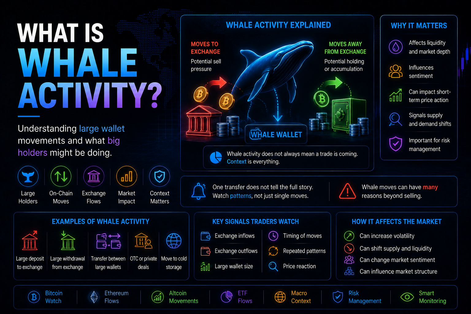 What Is Whale Activity?