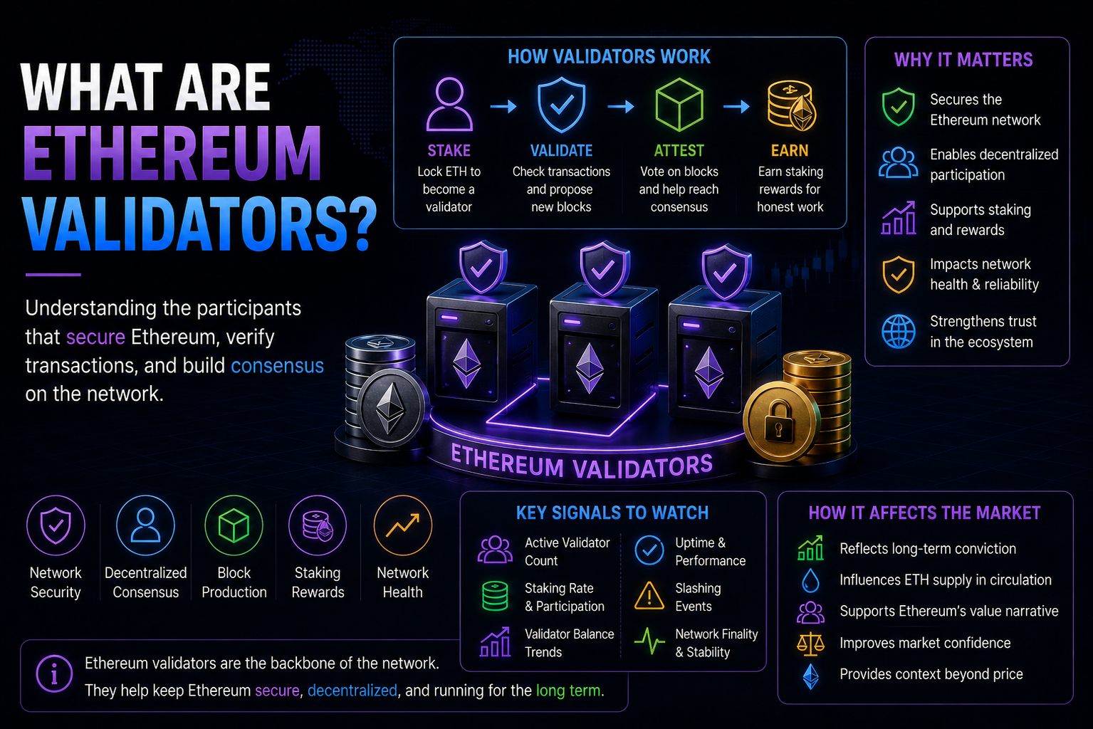 What Are Ethereum Validators?